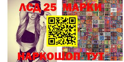 прущие крисы Кингисепп