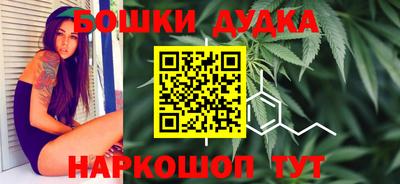 прущие крисы Кингисепп