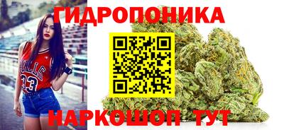 прущие крисы Кингисепп