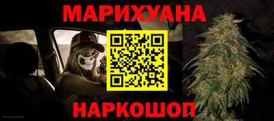 прущие крисы Кингисепп